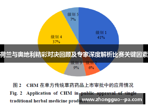 荷兰与奥地利精彩对决回顾及专家深度解析比赛关键因素