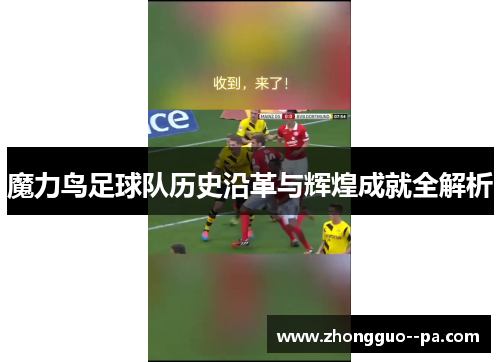 魔力鸟足球队历史沿革与辉煌成就全解析 魔力鸟足球队历史沿革与辉煌成就全解析