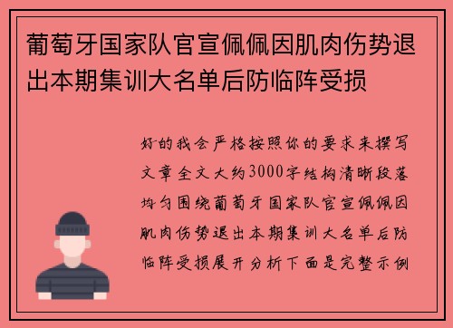 葡萄牙国家队官宣佩佩因肌肉伤势退出本期集训大名单后防临阵受损